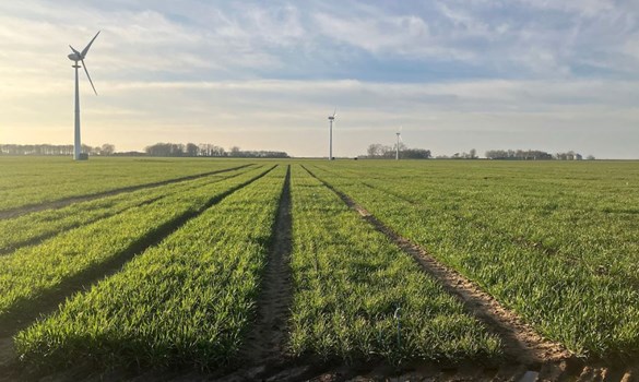 Green field with wind turbines.